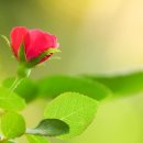 카림황제공인중개사사무소 이미지