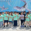 해양 환경 교육 이미지