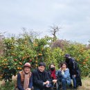 야베스농장 이미지