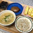 그로스랩 | 햇반 곤약밥 다이어트곤약밥추천 칼로리 효과는? 그로스랩 호라산밀 발효곤약밥 후기