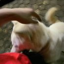 호호해피하우스