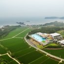 엘리스테이 이미지