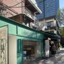 🧸🤍 서울숲 포토랩플러스 포토부스 촬영 후기(성수 데이트 코스 추천)