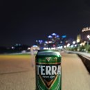 해운대싱싱대구탕 | 부산 해장 맛집 비교｜금수복국 vs 속씨원한 대구탕 솔직 후기