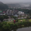 반월-9 Daum카페