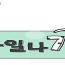 스타일나개 이미지