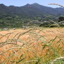 박경리 토지길 이미지