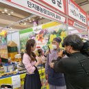 엉클팜법인