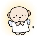 용문동물병원 이미지