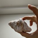 부천시청 이미지