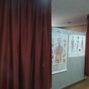 양천안마지압원 이미지