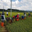 옥천군청 이미지