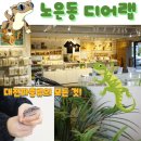 알비-랩 | 대전 파충류의 모든 것 노은동 도마뱀 크레 분양 디어랩