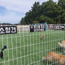 아임펜션 이미지