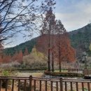 로드엠펜션 가족&단체&커플 이미지