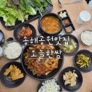 대구 달성군 옥포 맛집 :) 오늘한쌈 송해공원점에서 든든한 가족외식하고 왔어요🌿