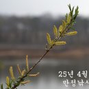 봄비 맞으며 밤낚시를! 이미지