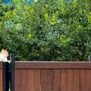 어느주택 이미지