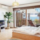 올랑고디또 이미지