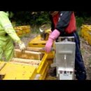 대광농기계 | [양봉공부]탈봉기