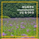 월곡마을회관 이미지