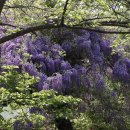 김포다도박물관 이미지