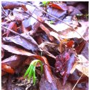 별숲 농장 이미지