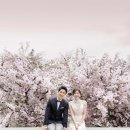 예스튜디오 이미지