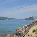 소풍 네이버블로그
