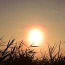 신평1동-3 이미지