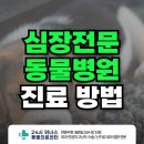 24시 위너스동물의료센터 | 평내호평 심장전문 동물병원 안내 [남양주 24시위너스동물의료센터]