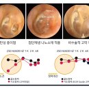 나노바이오테크