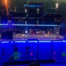 락포켓클럽 이미지