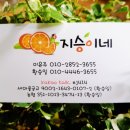 안숙희헤어