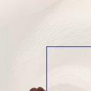 마이오서울안과의원 이미지