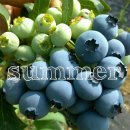 유평농장 이미지