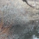 이시돌쉼터 이미지