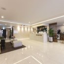 브라운 도트 이미지