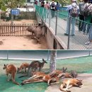 상인월드연합한의원 | 가성비최상 특급천목온천 검증된 최상급 감격일정(2026년 매주일요일출발) 전국예약센터 월드라이프여행사