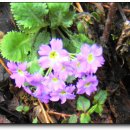 나마스떼 이미지