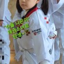 경희로운태권도