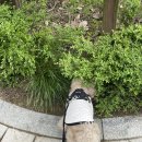 멍냥제과 | 🧳🐶 강아지와 함께하는 여수여행 [우두리포펫, 반려견동반음식점, 해상케이블카, 해양레일바이크, 산책코스]