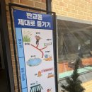 몽카페브런치 | 성남 실내 실외 대형카페 판교몽 놀거리 솔직후기 분위기 디저트 브런치 주말 애견동반