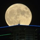 더블루문 - 수성구 | 더블루문