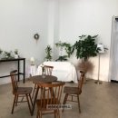플로르 오션