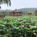 하가리집 이미지