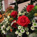 명성화원 이미지