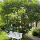 병설농장 | 후쿠오카 이토시마 맛집 니기야카나 하루 농산물 직판장: 일본 가정식 후기