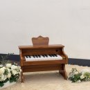 코스모스 | 돌잔치 예약 완료[플로렌스 오목교점 카라홀, 코스모스홀 비교 후기]