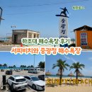 세븐일레븐 하조대서피비치점 | 양양 여행가면 꼭 들러야 할 하조대 해수욕장 다녀온 후기, 서피비치와 중광정 해수욕장까지